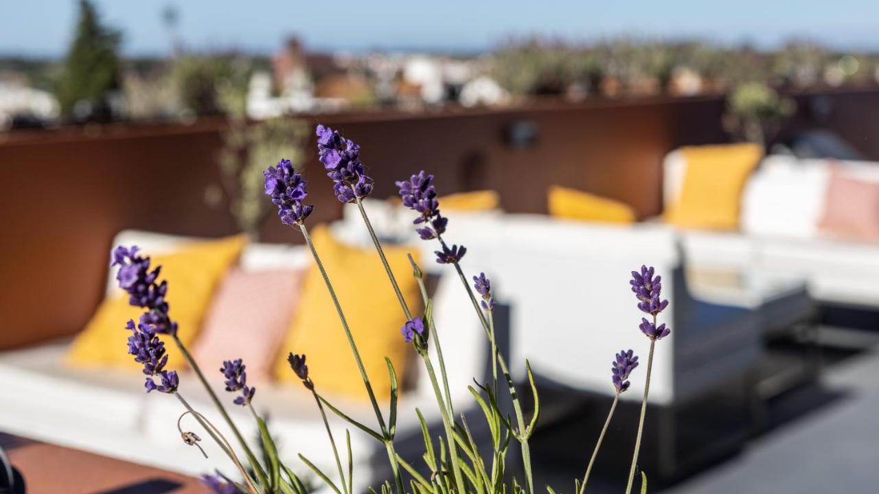 Vitoria Stone Hotel Евора Екстер'єр фото